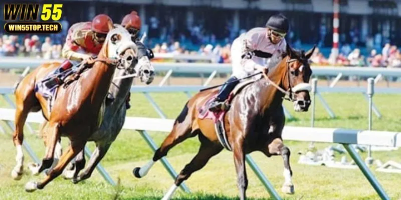 Tổng quan về đua ngựa